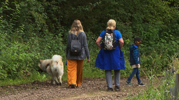 Top Ten Tips for Enjoyable and Safe Countryside Walks with Your Dog