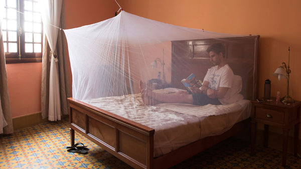 Sleep Soundly: Top Tips to Avoid Nighttime Insect Bites