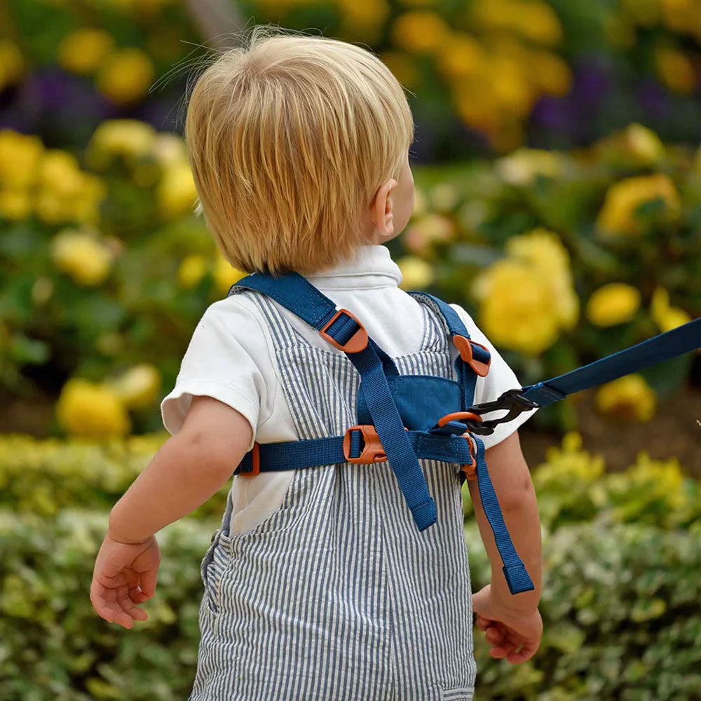 Littlelife Dinosaur Toddler Safety Reins