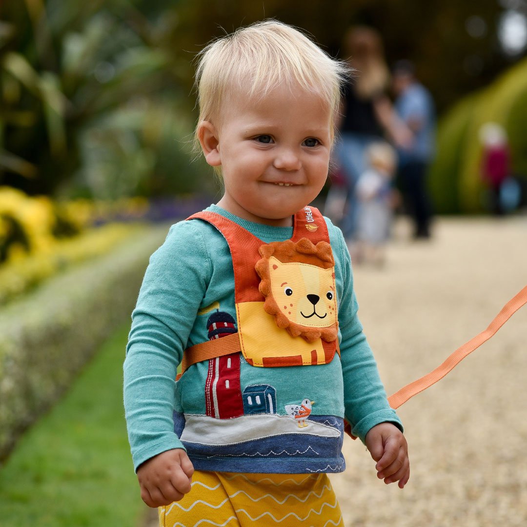 Littlelife Lion Sicherheitszügel für Kleinkinder
