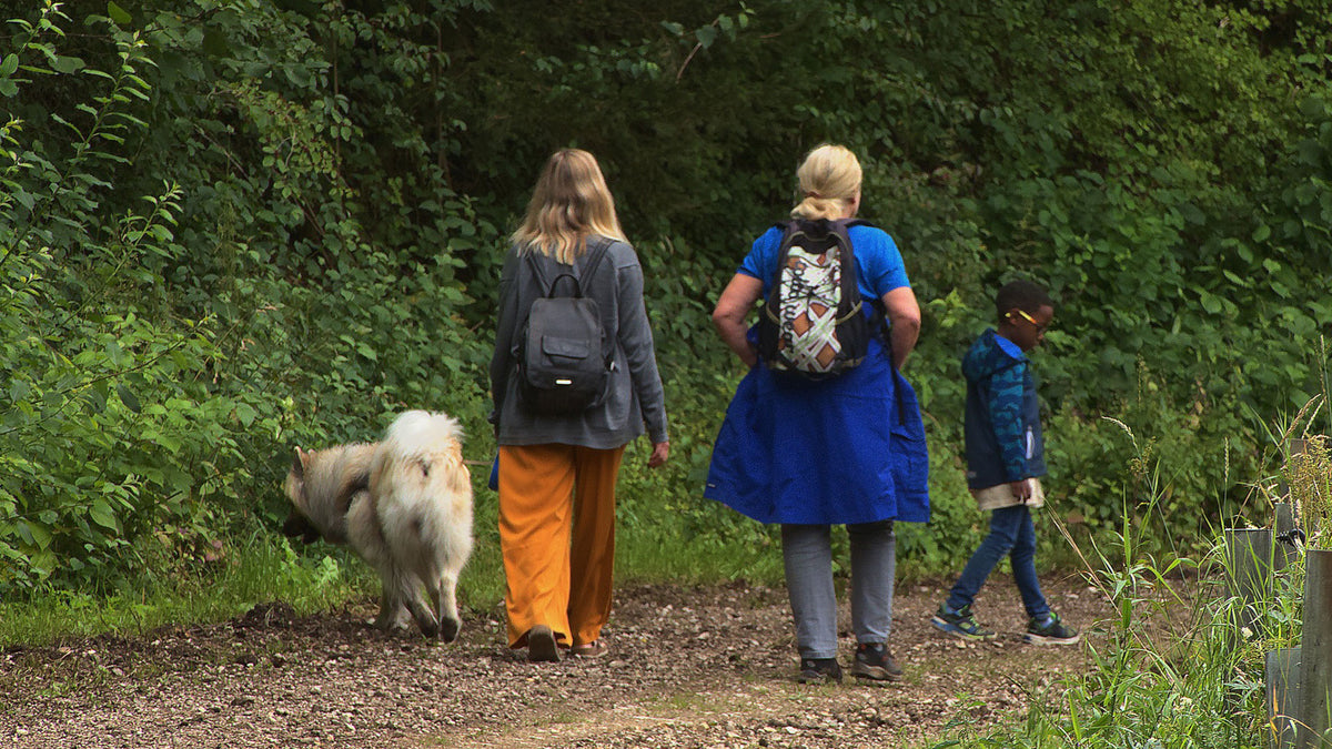 Family walking their dog along a forest path