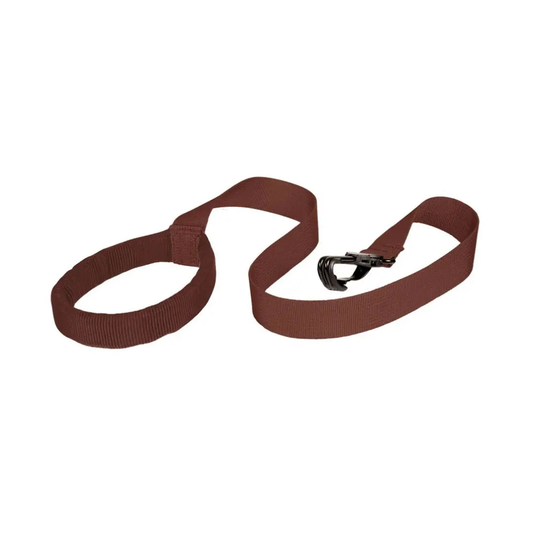 Sac à dos pour tout-petits Littlelife Dinosaur avec attache de sécurité