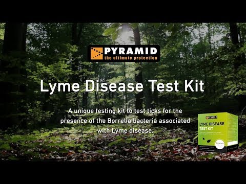 Instruction video for Pyramids Lyme Disease test kit