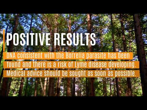 Instruction video on what should be done if you have a positive result for Lyme disease